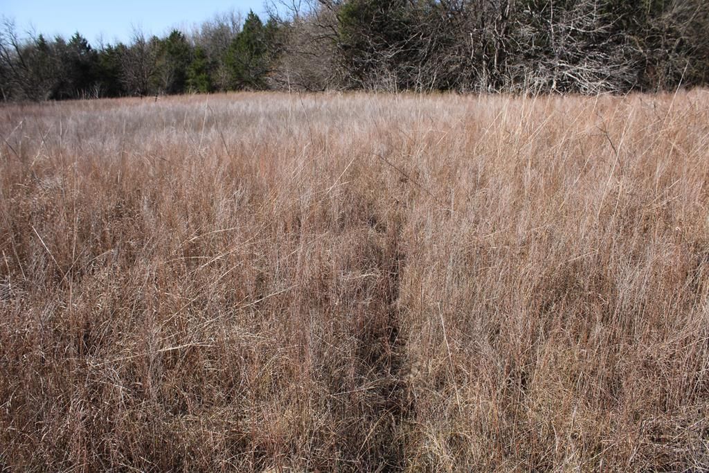 22120 Decatur Road — photo 58