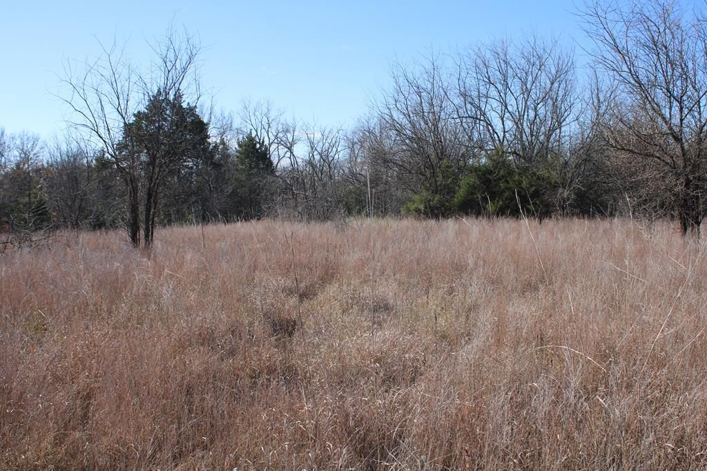 22120 Decatur Road — photo 60