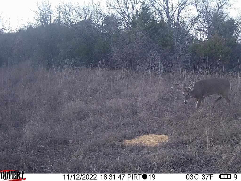 22120 Decatur Road — photo 10