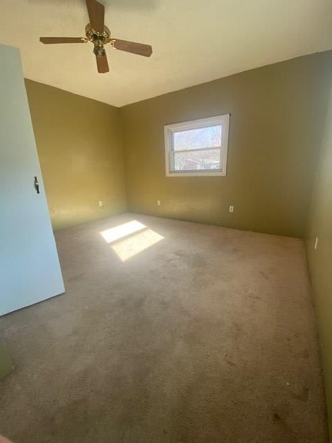 509 S 6th Street — photo 12