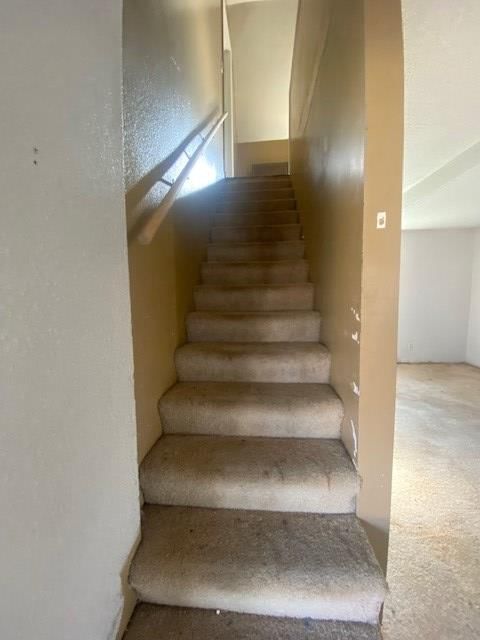 509 S 6th Street — photo 13