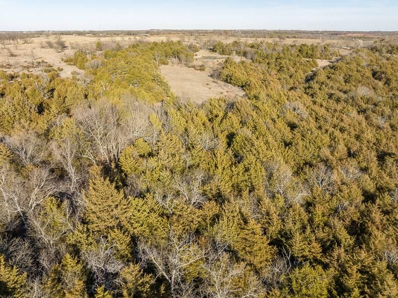 7026 Lane Road — photo 30