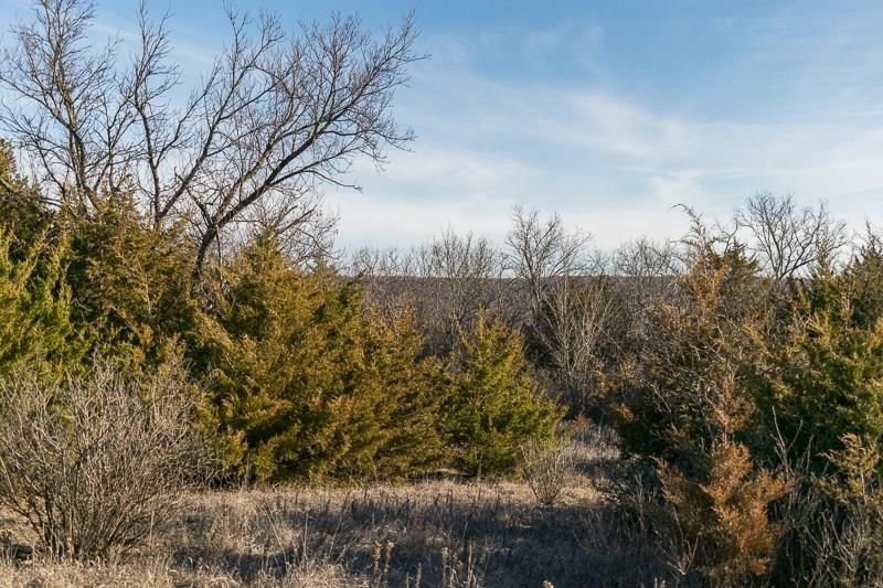 7026 Lane Road — photo 37