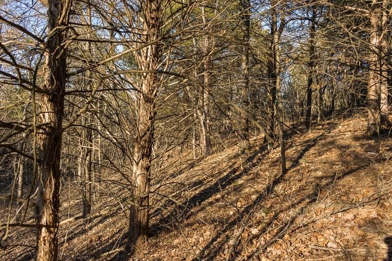 7026 Lane Road — photo 39