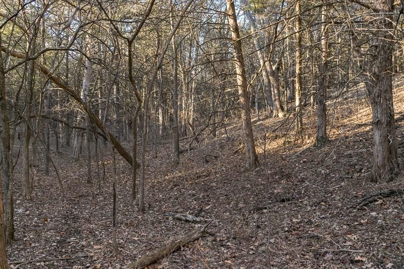 7026 Lane Road — photo 41
