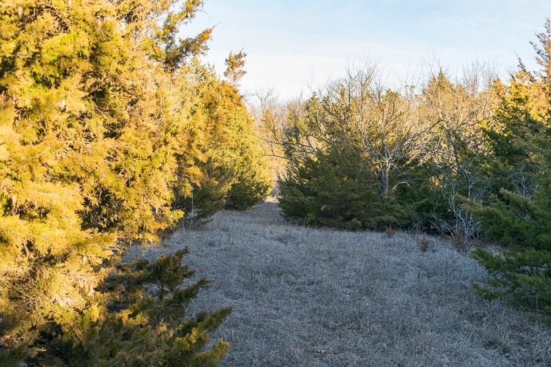 7026 Lane Road — photo 48