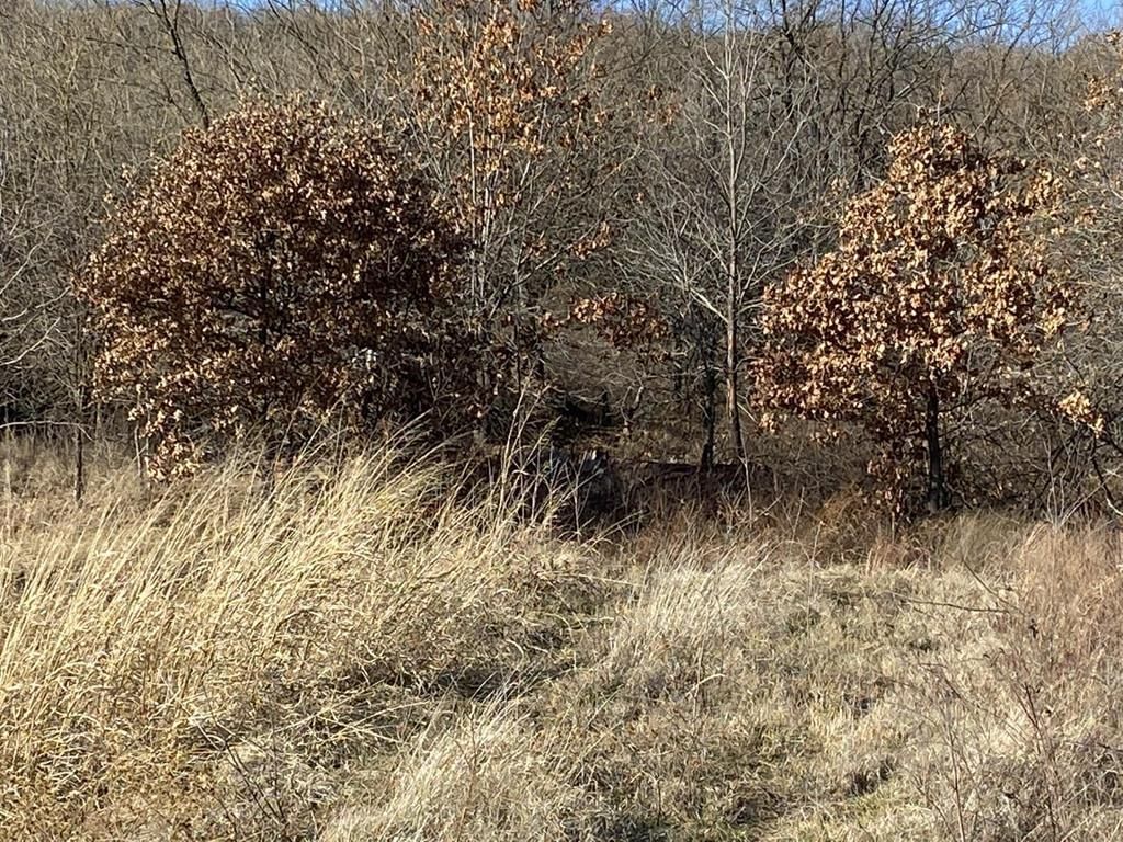 3449 CR 1350 N/A — photo 19