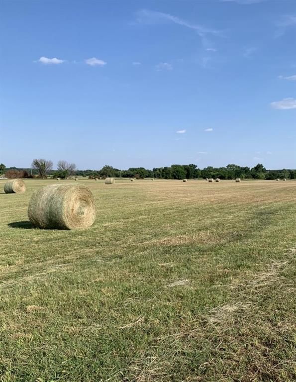 3449 CR 1350 N/A — photo 57