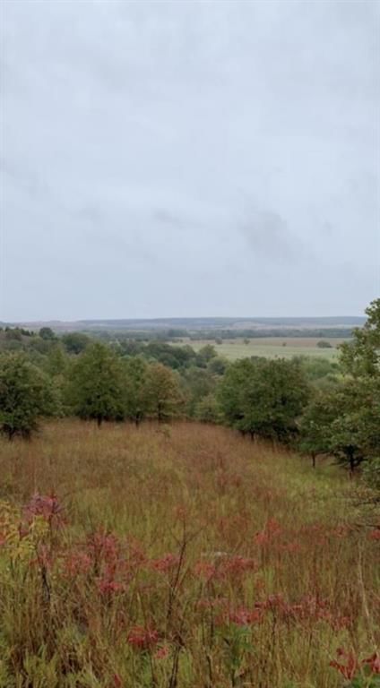 3449 CR 1350 N/A — photo 60