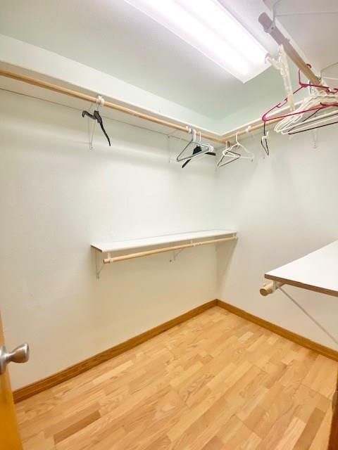 3872 CR 3730 N/A — photo 19
