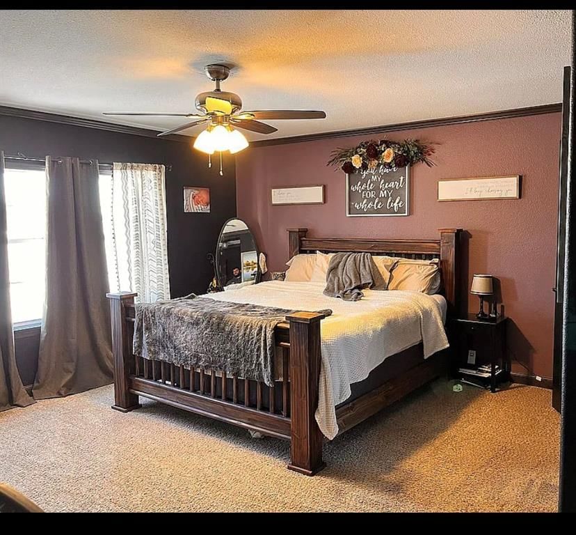 649 Fern Road — photo 8
