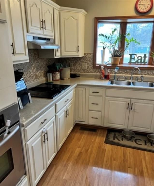 525 Webster Court — photo 5