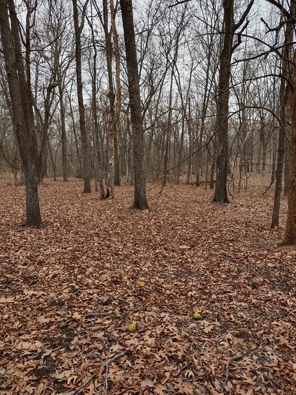7233 SE Treece Road — photo 34
