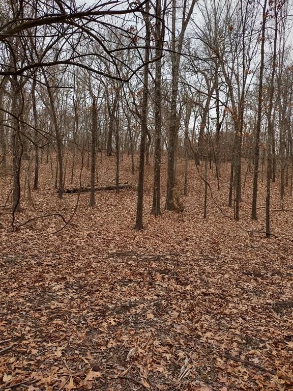 7233 SE Treece Road — photo 35