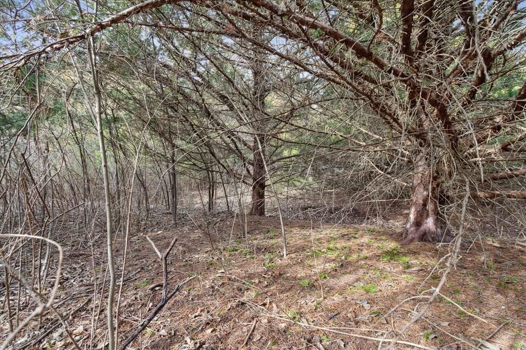 1254 Hwy 54 N/A — photo 26