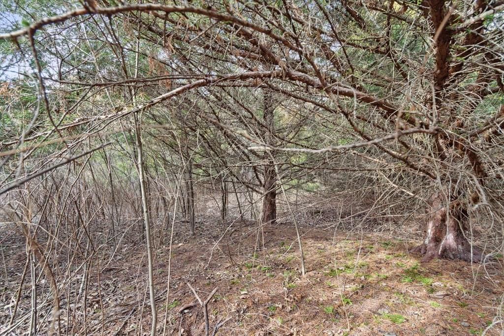 1254 Hwy 54 N/A — photo 27