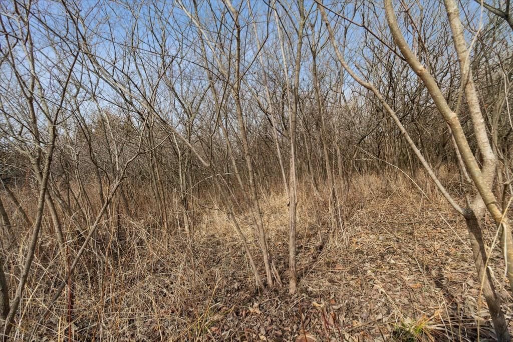 1254 Hwy 54 N/A — photo 29