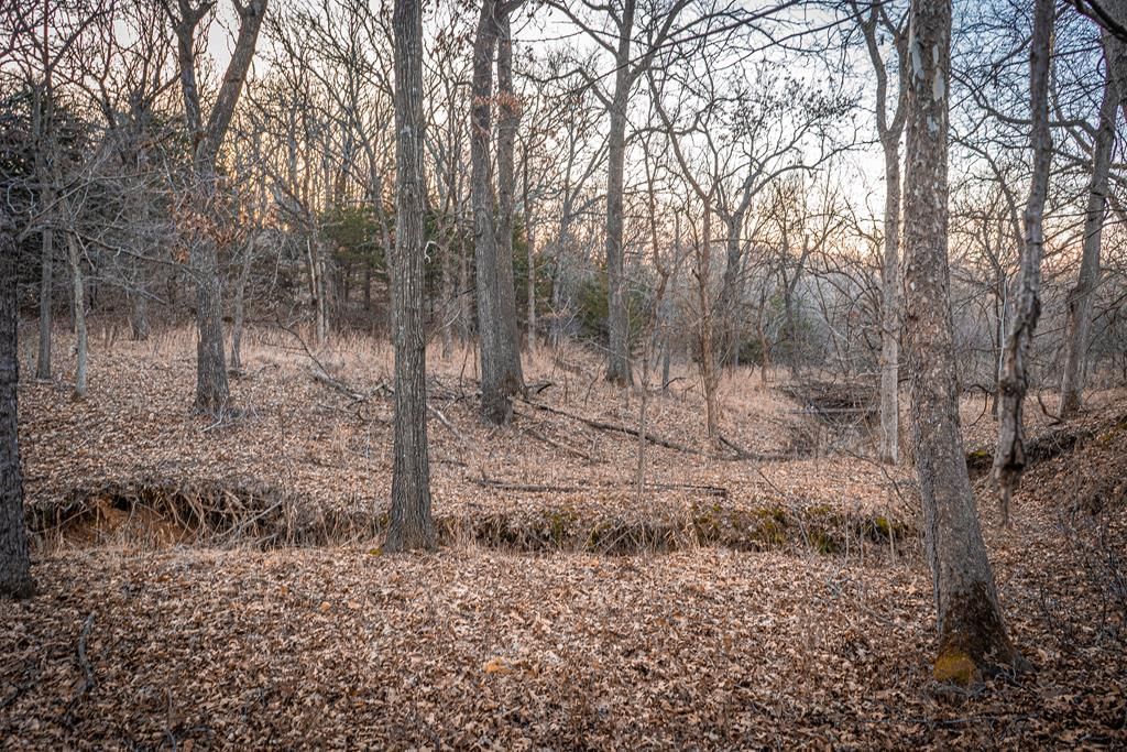 650 E Woolsey N/A — photo 31