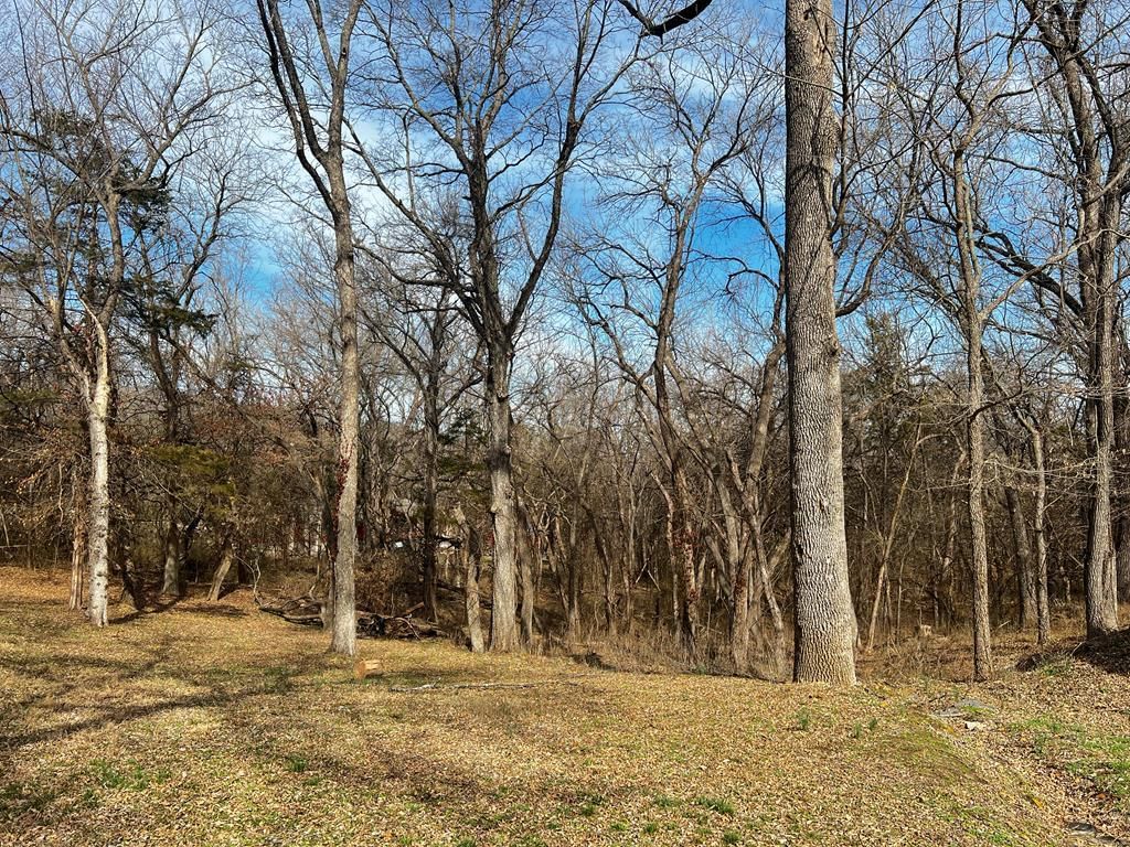 4039 CR 3995 N/A — photo 48