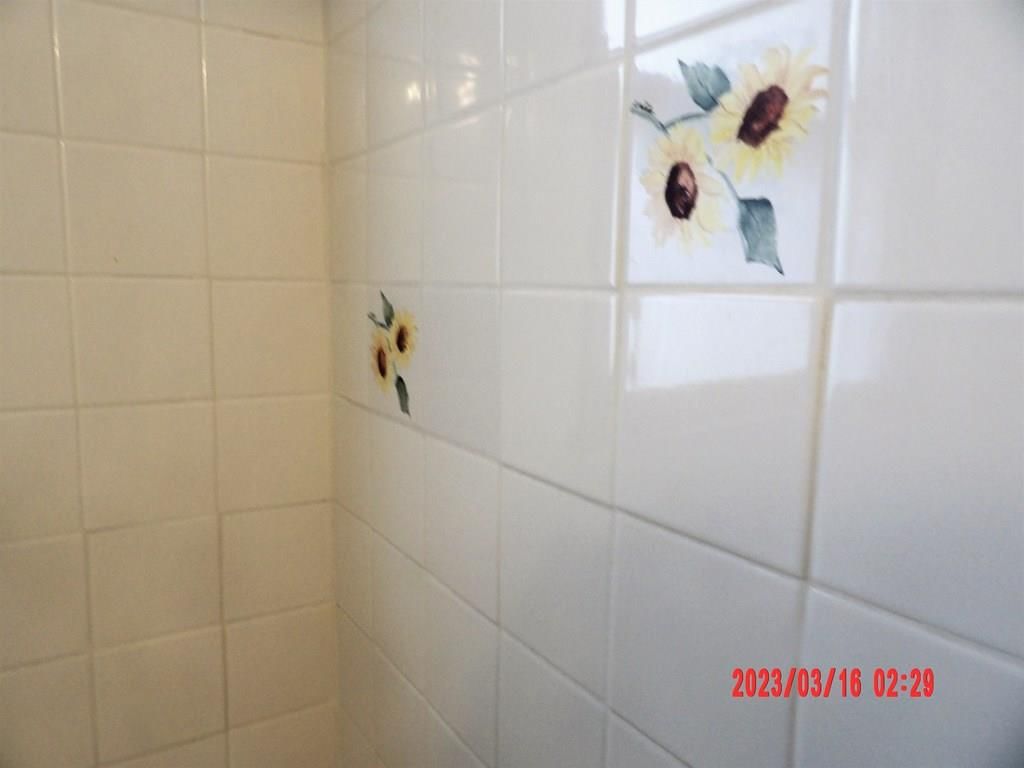 527 E Garfield N/A — photo 20
