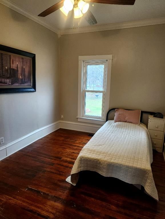 112 Lamont Street — photo 26