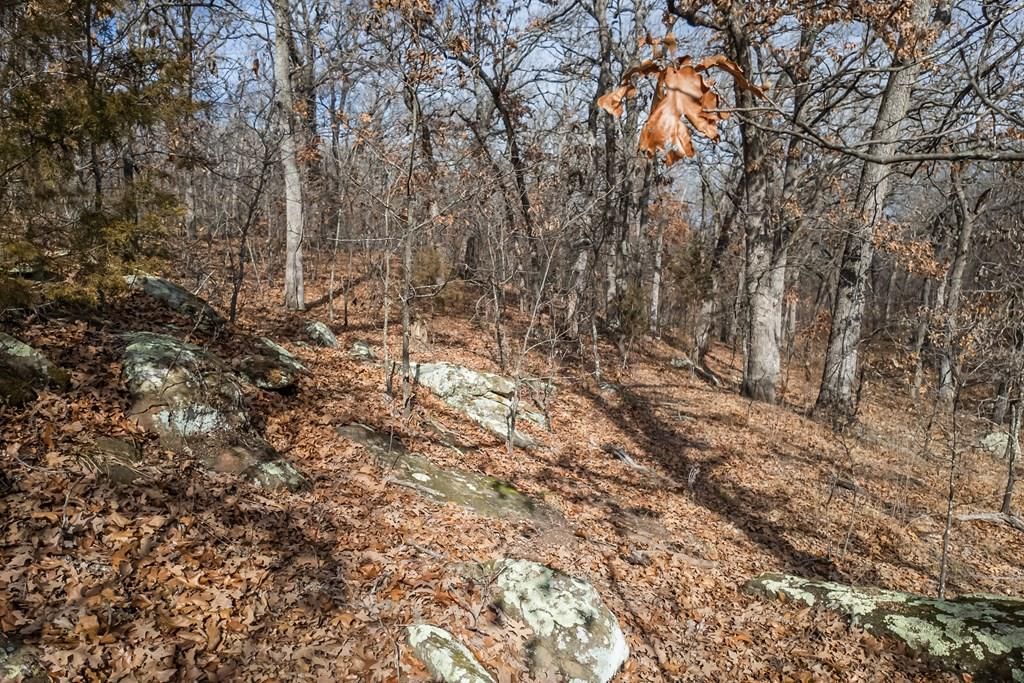 1395 CR 4600 N/A — photo 41