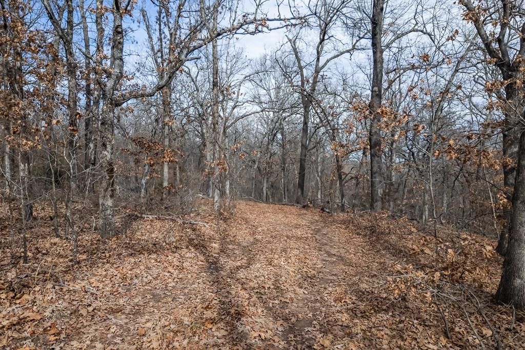 1395 CR 4600 N/A — photo 42