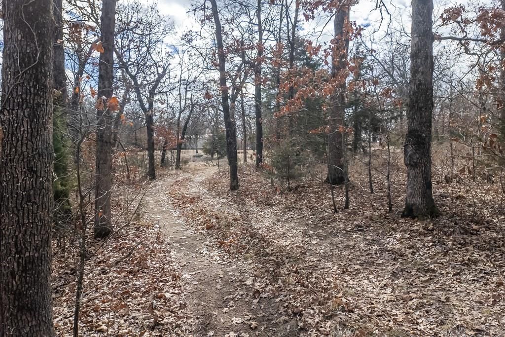 1395 CR 4600 N/A — photo 43