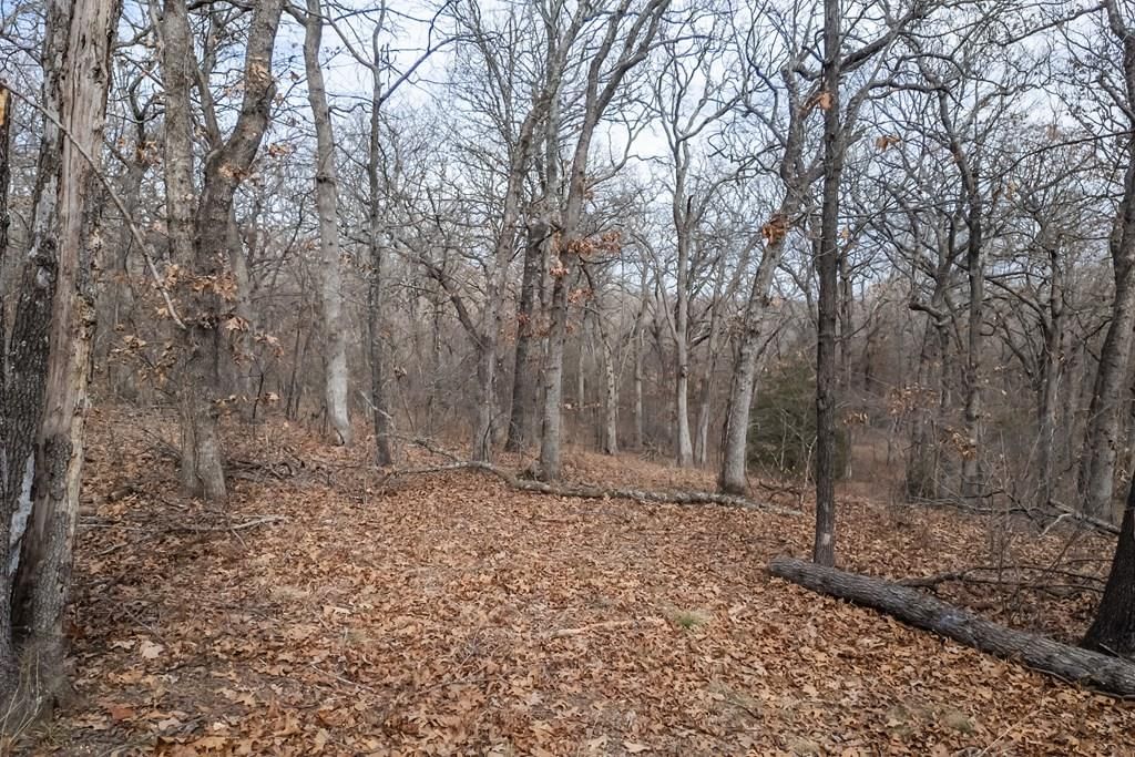 1395 CR 4600 N/A — photo 44