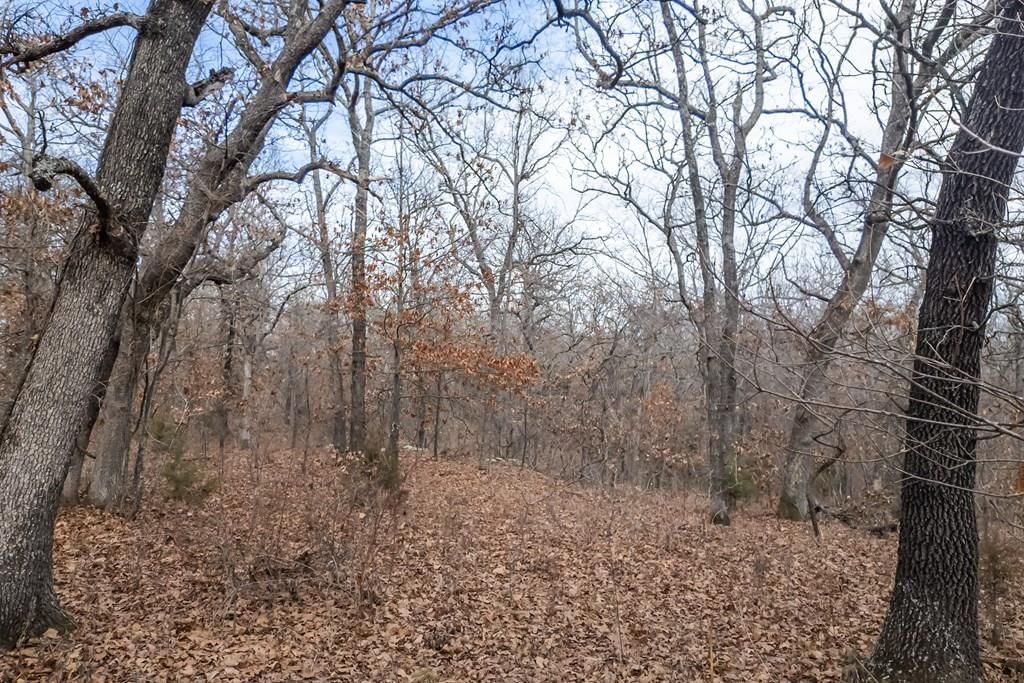 1395 CR 4600 N/A — photo 45