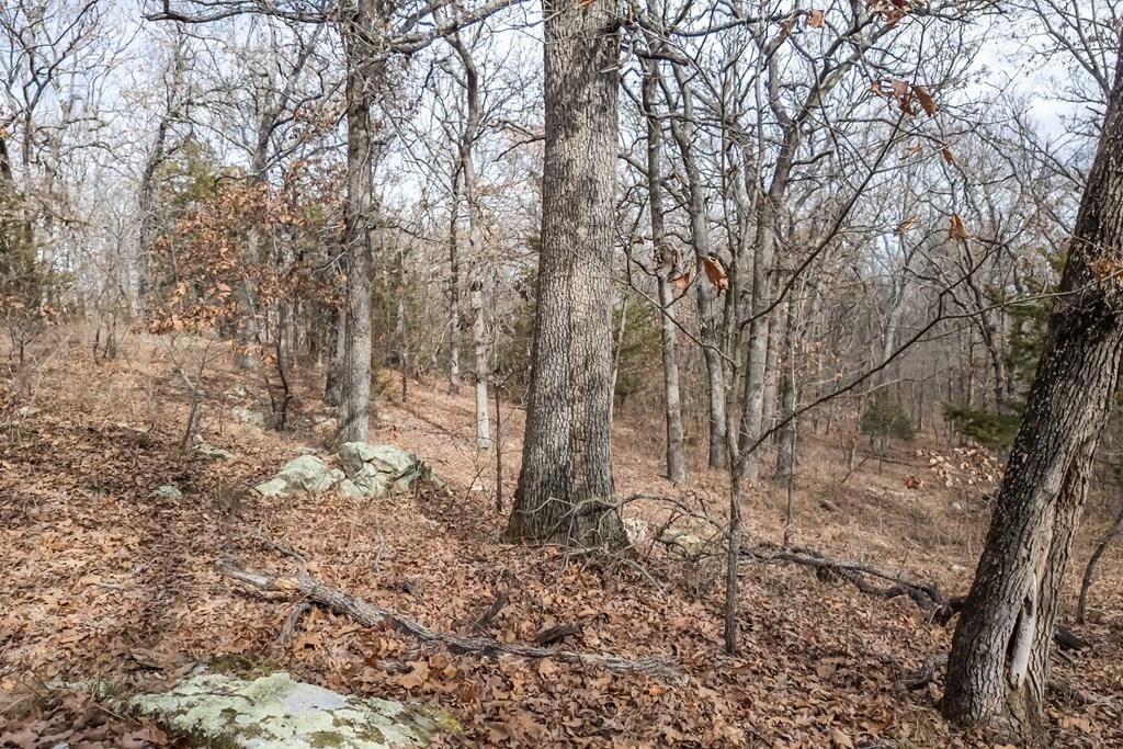 1395 CR 4600 N/A — photo 47