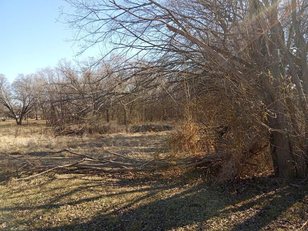 205 Spruce Street — photo 52