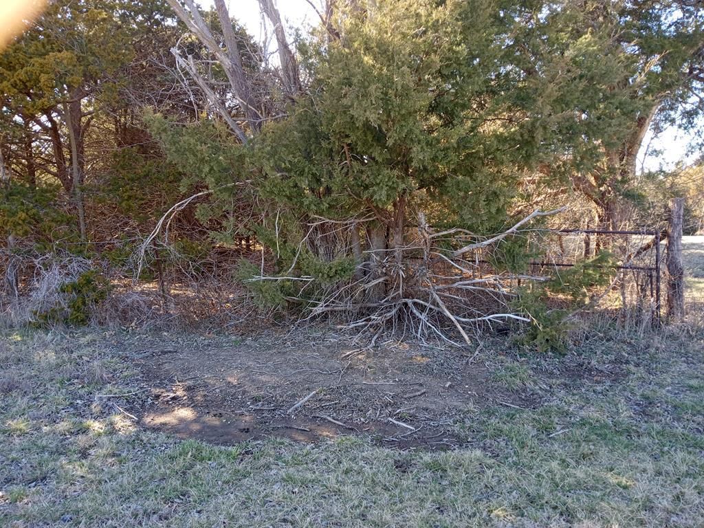 205 Spruce Street — photo 70