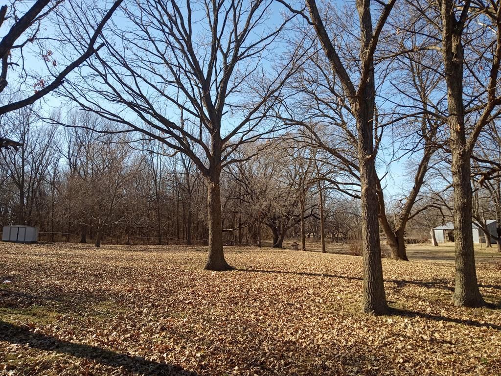 205 Spruce Street — photo 72