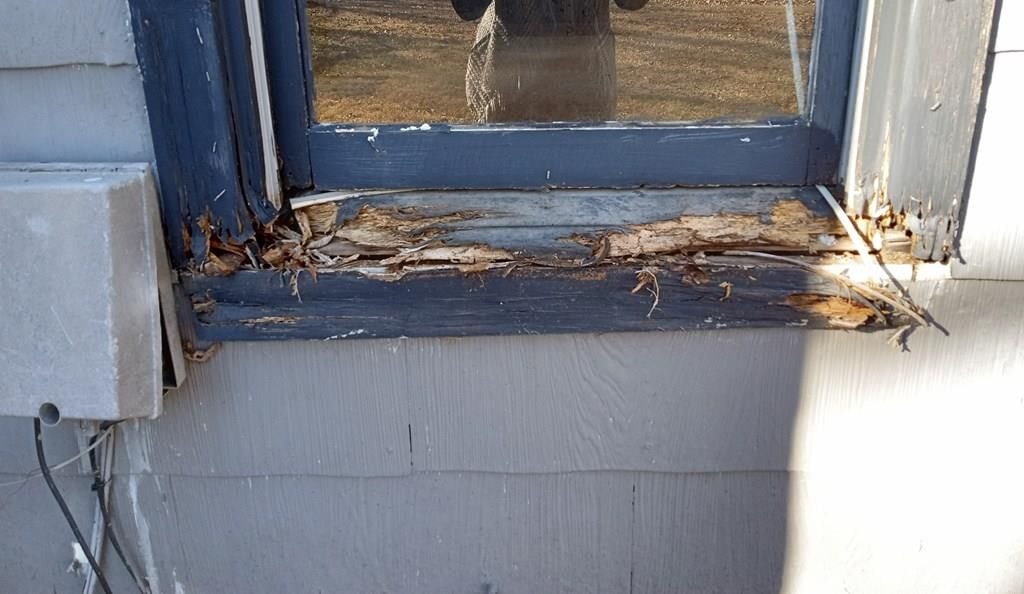 205 Spruce Street — photo 75