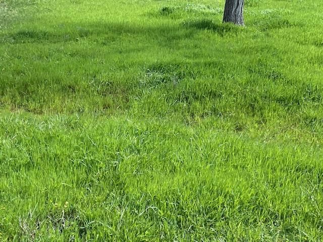 1607 CR 4100 Road — photo 49