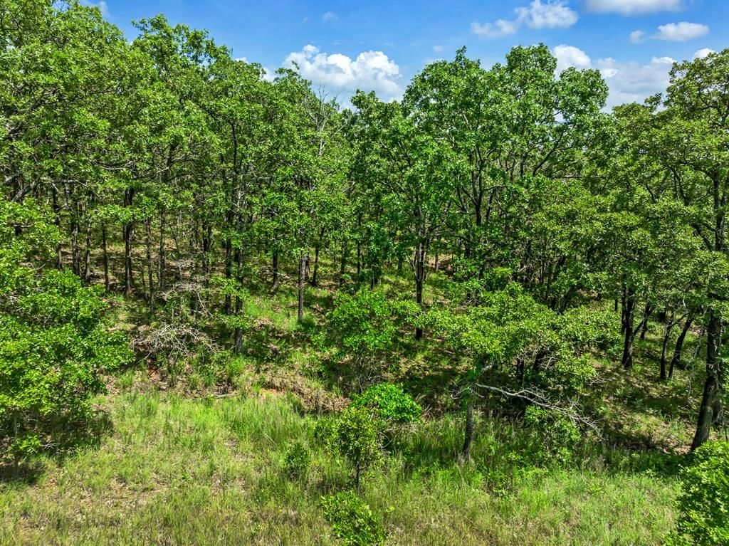 469 Road 29A N/A — photo 21
