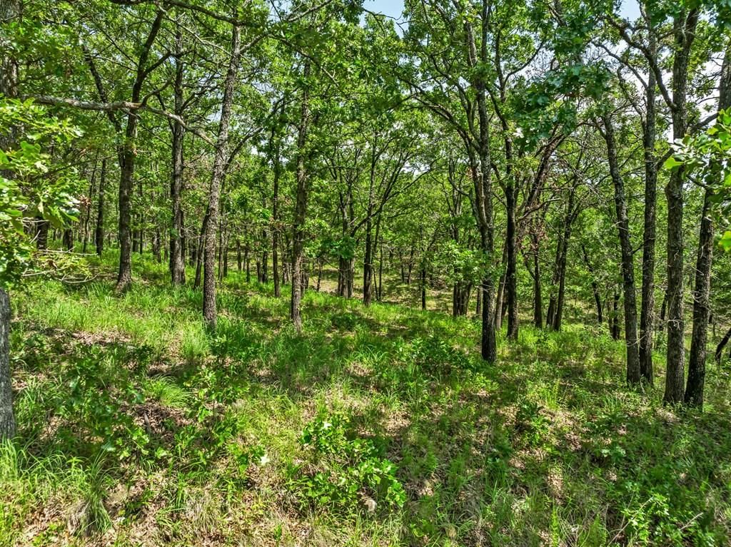 469 Road 29A N/A — photo 22