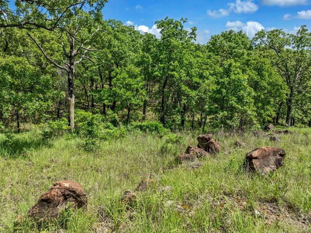 469 Road 29A N/A — photo 25