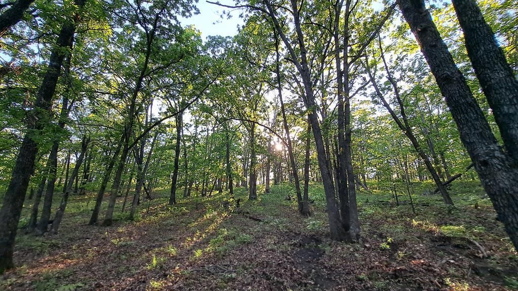 469 Road 29A N/A — photo 38