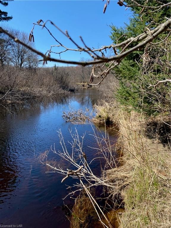 Residential sold at 1164 Hekkla Road, Rosseau, Cardwell, P0C 1J0 - MLS: 40101606