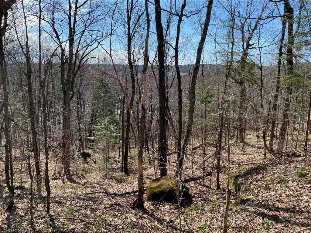Residential sold at 1164 Hekkla Road, Rosseau, Cardwell, P0C 1J0 - MLS: 40101606
