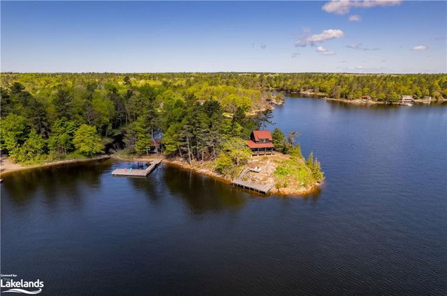 12632 Georgian Bay Shore