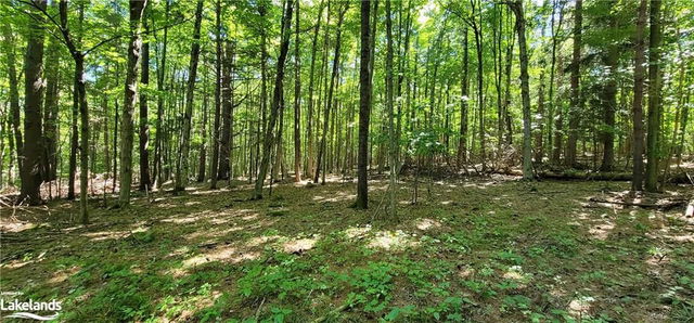 93 Town Line Road