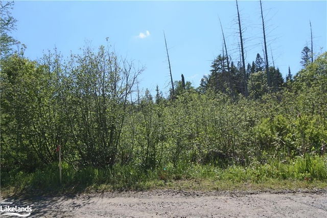 0 White Eagle Trail