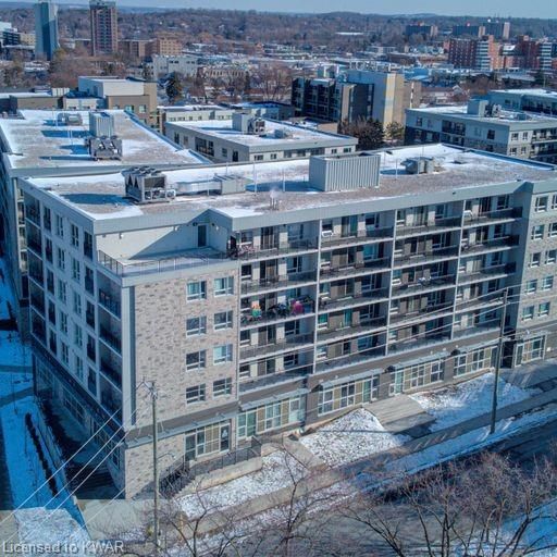 F401 - 275 Larch Street