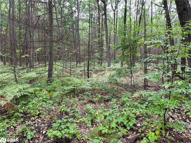 2234 Klondike Park Road