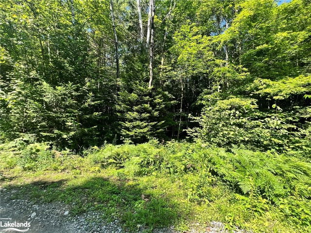 LOT 81 North Drive