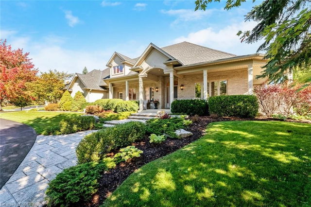 59 Palomino Drive