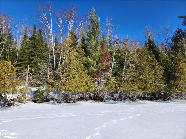 0 Poverty Bay Trail